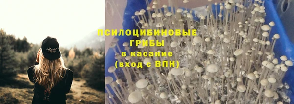 прущие крисы Беломорск
