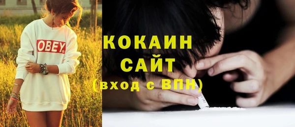 молекула духа Белоозёрский