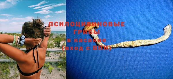 молекула духа Белоозёрский