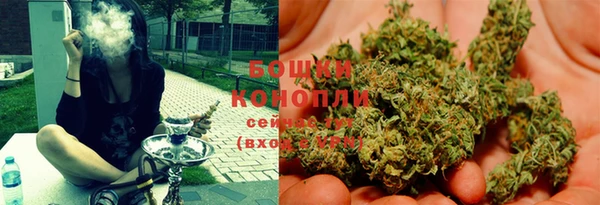 молекула духа Белоозёрский