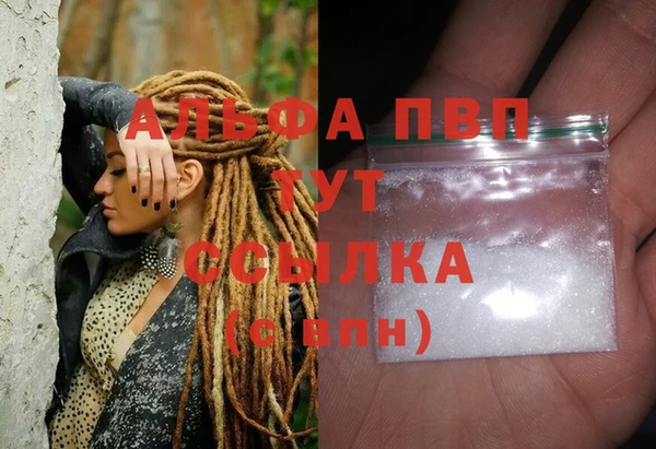 молекула духа Белоозёрский