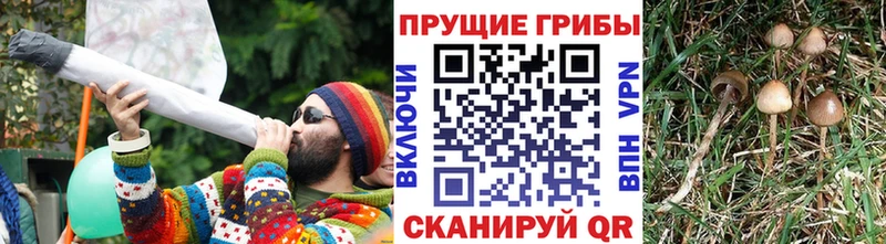 KRAKEN зеркало  Саяногорск  сайты даркнета как зайти  Псилоцибиновые грибы MAGIC MUSHROOMS 