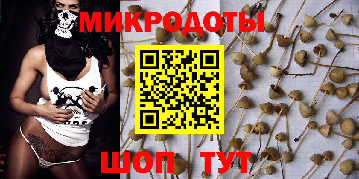 Галлюциногенные грибы MAGIC MUSHROOMS  Галлюциногенные грибы MAGIC MUSHROOMS  хочу   Вход с VPN  Саяногорск 